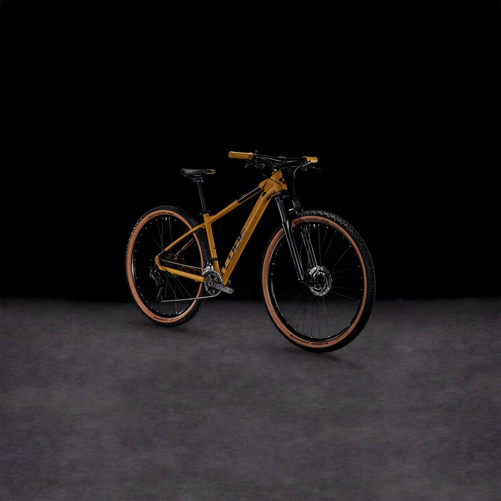 mediav2-1247