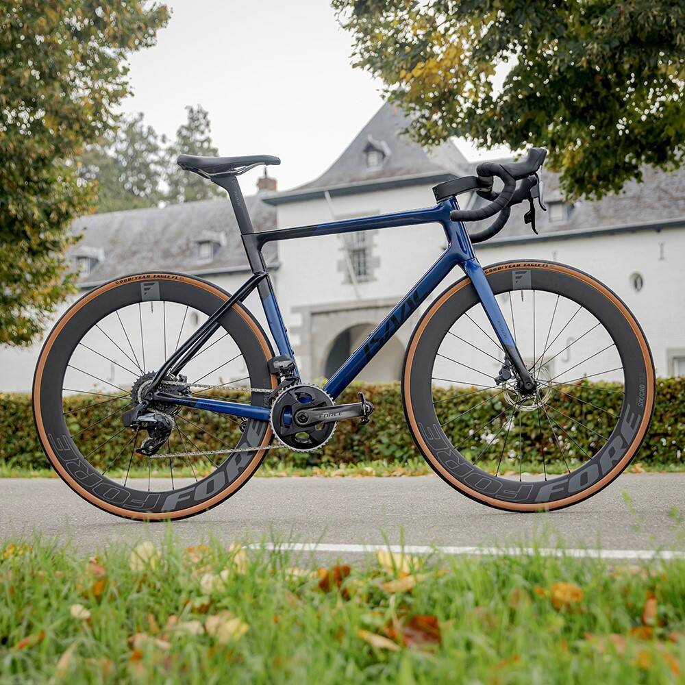 mediav2-2595