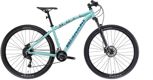 Bianchi Duel céleste